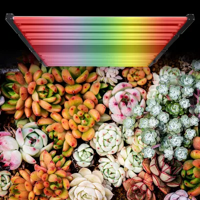 Waterproof UV 720W 1000W Full Spectrum LED Grow Lights for Indoor Plants